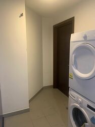 Residences @ Evelyn (D11), Condominium #491696191